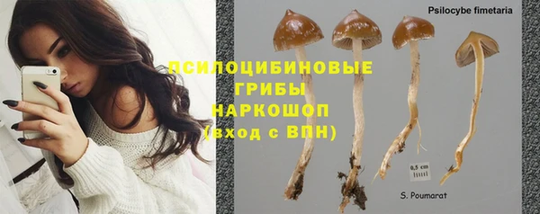 соль курить ск Гусиноозёрск