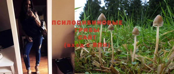 метадон Ростов