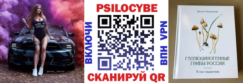 Купить закладки  Нурлат  Псилоцибиновые грибы мицелий 